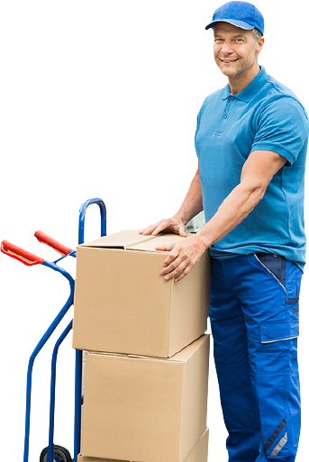 Полив водой из скважины Капуста